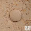 BALBIDA NIPTIRA FOSSIL TPD01-500 PATARA BEIGE